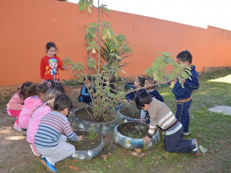 educação infantil
